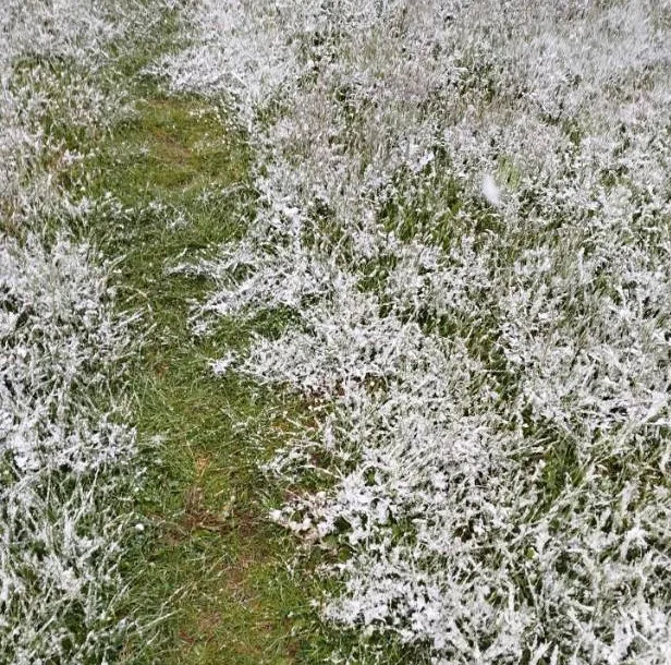 cemerno-1-jpg Na Čemernu prava zimska idila
