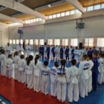 dzudo slika 1