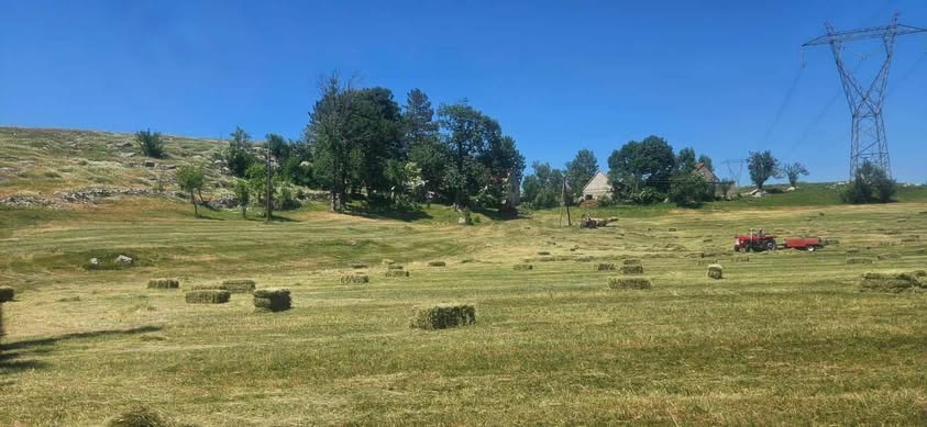 bale-1-1 Prinosi i kvalitet sijena izuzetno dobri