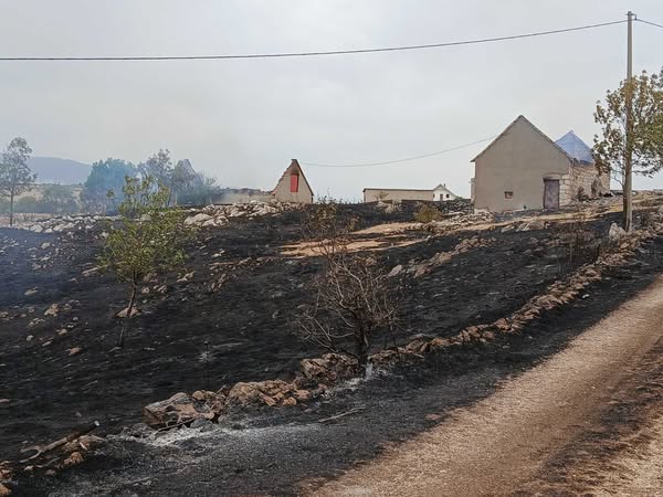 SL-2-2 U Gacku svi požari ugašeni