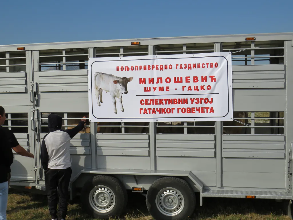 IMG_6720-1024x768-jpg У Гацку одржана 48. Регионална сточна изложба