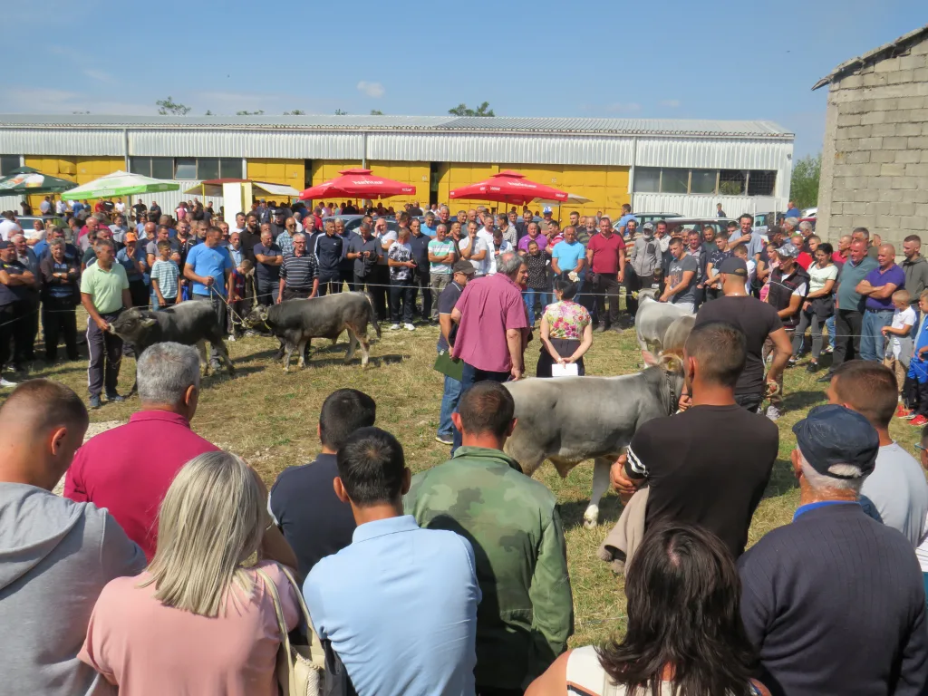 sl-2-3-1024x768-jpg У Гацку одржана 48. Регионална сточна изложба