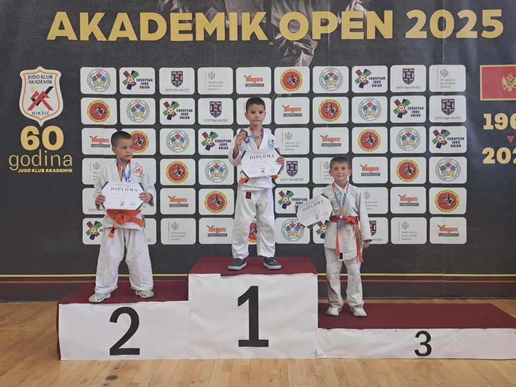 Aleksa1-1024x768-jpg Наши џудисти се окитили медаљама у Никшићу