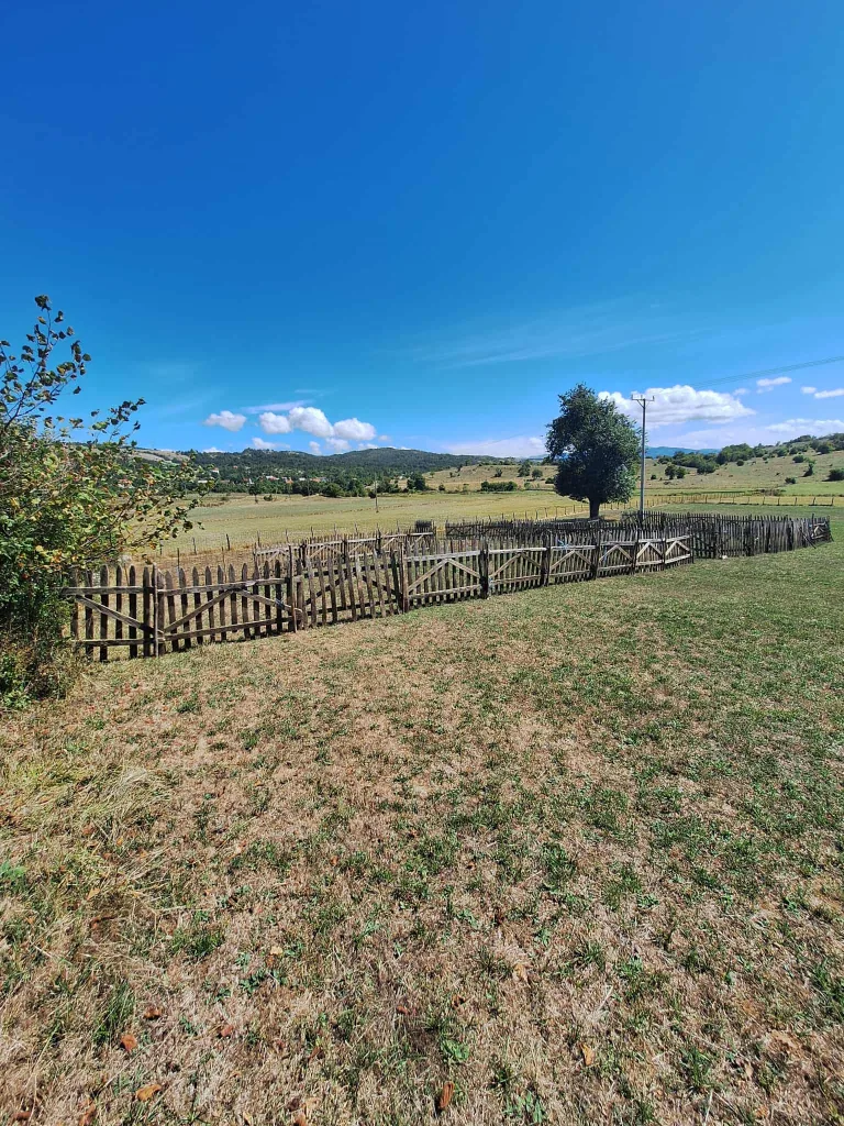 Messenger_creation_49A7ED41-87BB-459F-8469-CB1BA5B5B97A-768x1024-jpeg U gatačkom selu Lukovice medvjed napao stado ovaca