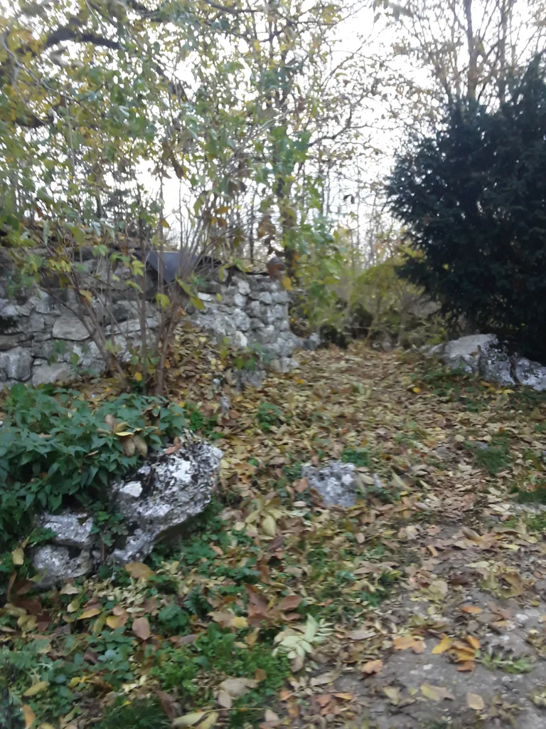 20251030_155028-768x1024-jpg Gacko u bojama jeseni