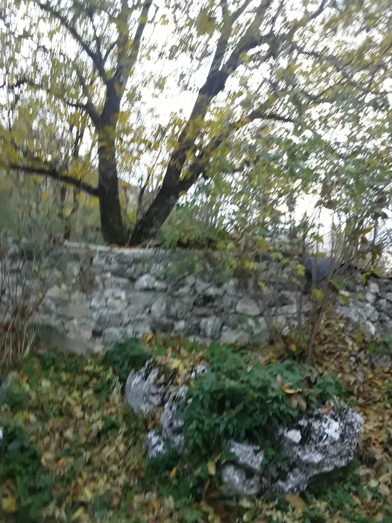 20251030_1550331-768x1024-jpg Gacko u bojama jeseni