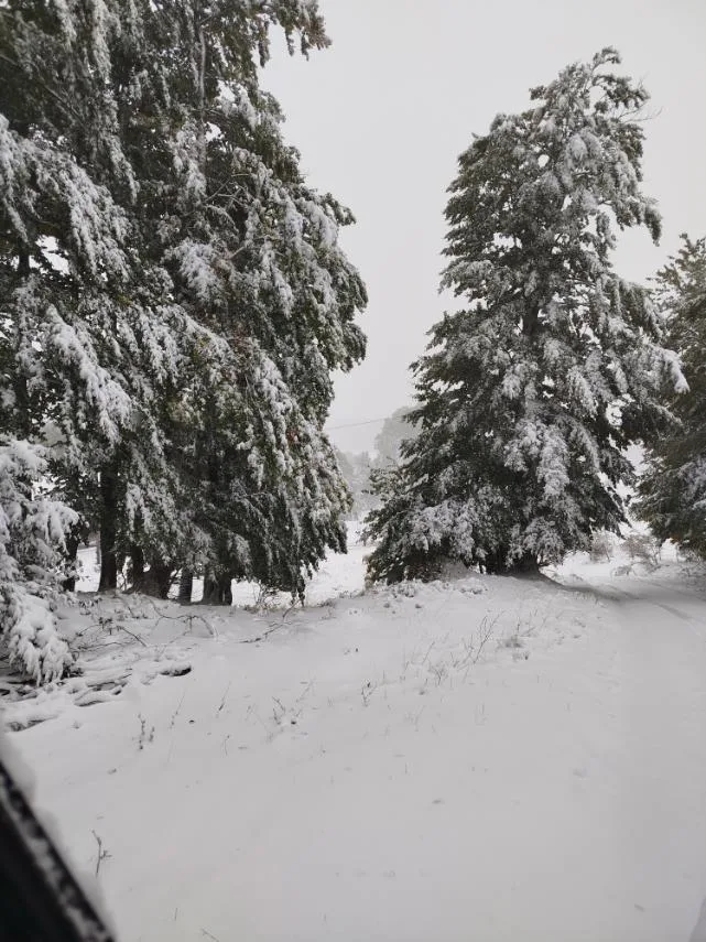 snijeg-2-1-jpg Zabijeljelo i na Čemernu