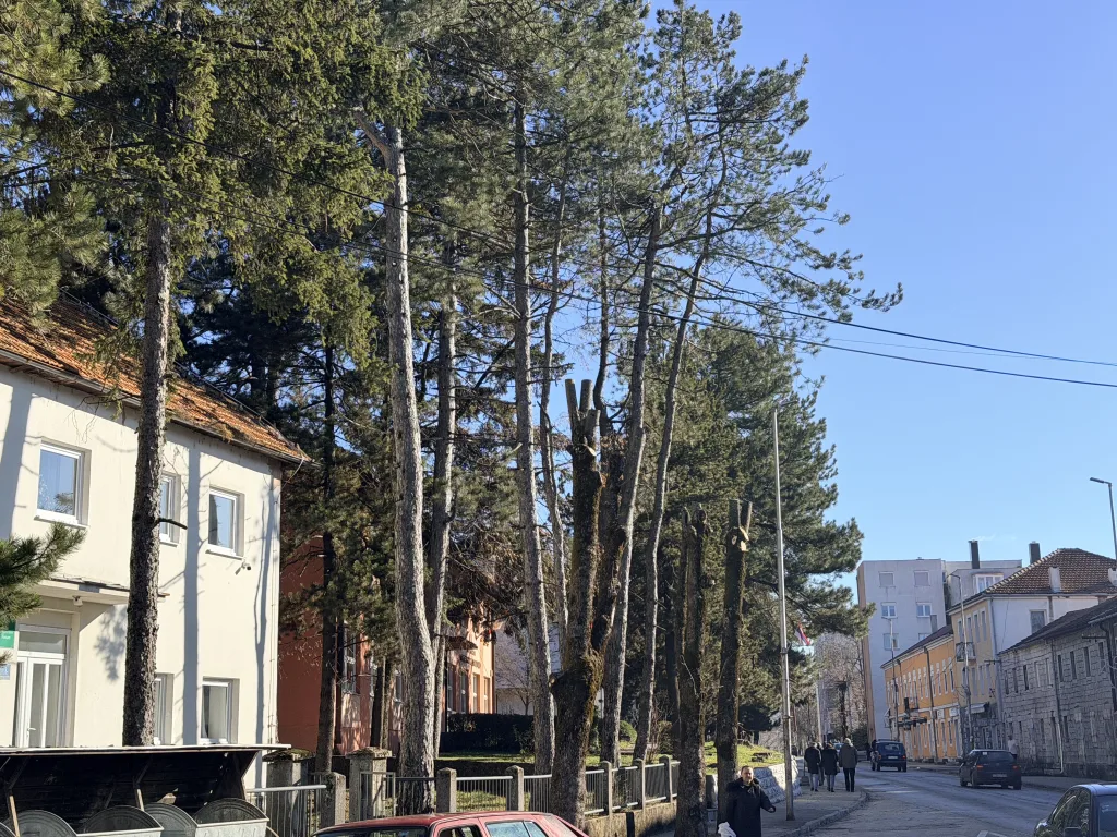 IMG_2549-1024x768-jpeg "Komus" završava godinu sa minusom, ali sa nadom u bolju 2026.