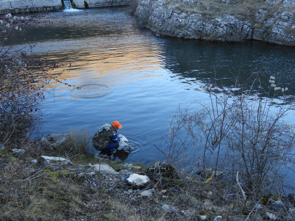 naslovna-riba-1-1024x768-jpg Завршено јесење порибљавање вода риболовне зоне "Гацко"