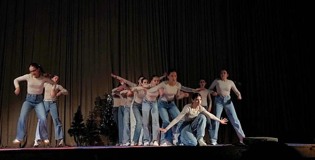 vi-dens-6-1024x522-jpg Održan zanimljiv i bogat koncert "Ritam zime" u režiji Plesnog i čirliding kluba "We dance"