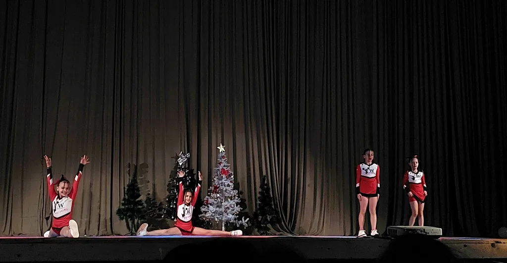 vi-dens-9-1024x531-jpg Održan zanimljiv i bogat koncert "Ritam zime" u režiji Plesnog i čirliding kluba "We dance"